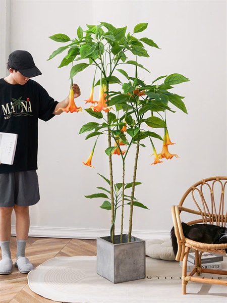 Cây kèn tây 1,8m có chậu - Cây - Hoa Lụa Vân Vượng
