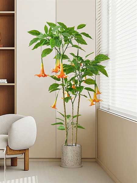 Cây kèn tây 1,6m có chậu - Cây - Hoa Lụa Vân Vượng