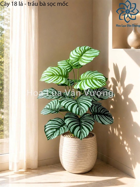 Cây 18 lá - trầu bà sọc mốc - Cây - Hoa Lụa Vân Vượng