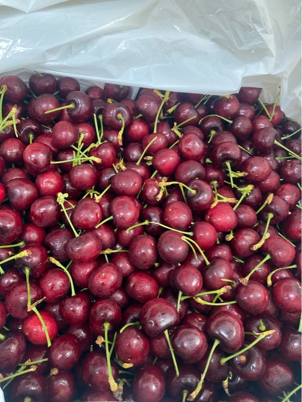 Cherry Mỹ Kg