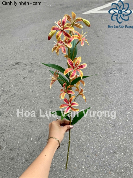Cành ly nhện - cam - Hoa cành dài - Hoa Lụa Vân Vượng