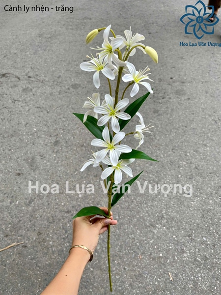 Cành ly nhện - trắng - Hoa cành dài - Hoa Lụa Vân Vượng