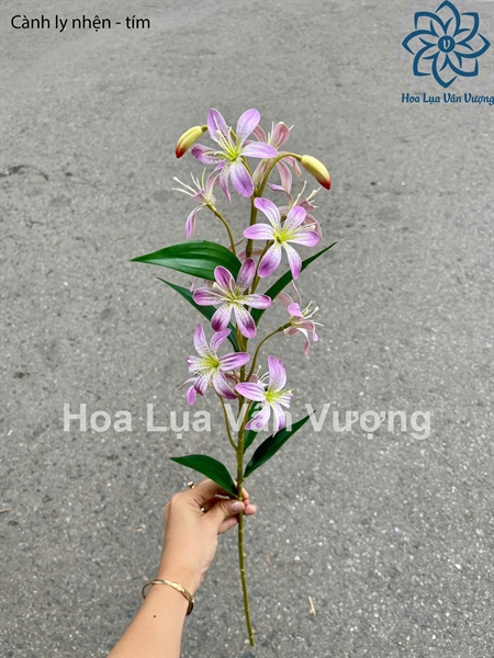 Cành ly nhện - tím - Hoa cành dài - Hoa Lụa Vân Vượng