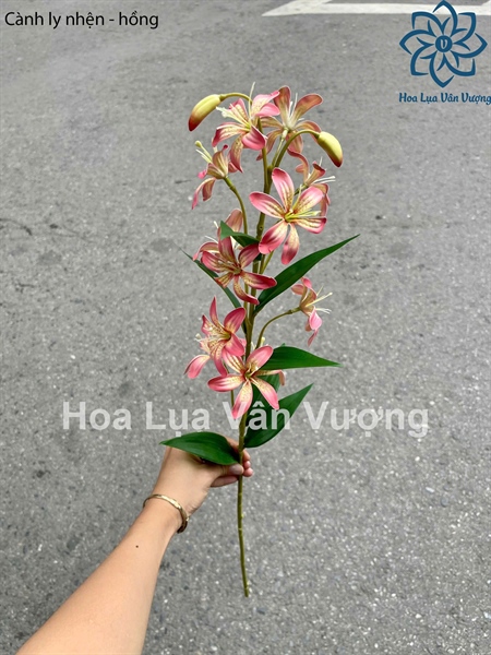 Cành ly nhện - hồng - Hoa cành dài - Hoa Lụa Vân Vượng