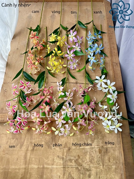 Cành ly nhện - hồng chấm - Hoa cành dài - Hoa Lụa Vân Vượng