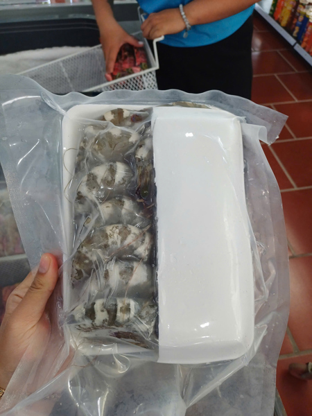 TÔM SÚ BIỂN