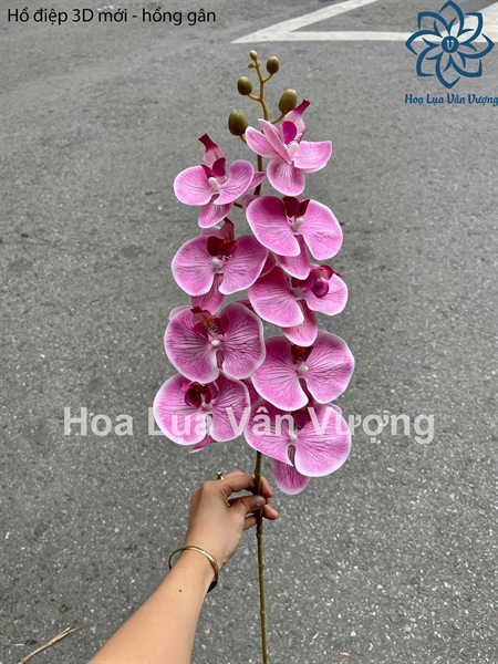 Hồ điệp 3D mới - hồng gân - Hồ điệp, lan - Hoa Lụa Vân Vượng