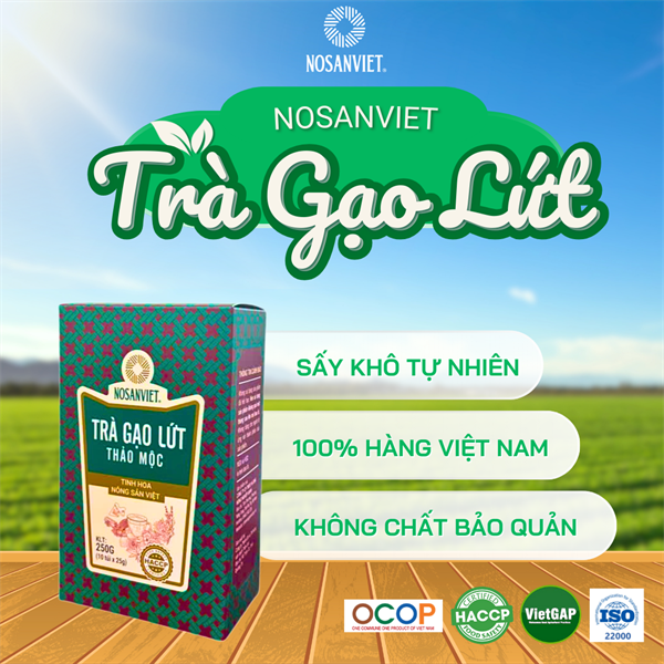 Combo TRÀ GẠO LỨT THẢO MỘC 250g (hộp giấy mẫu mới) (2 hộp)