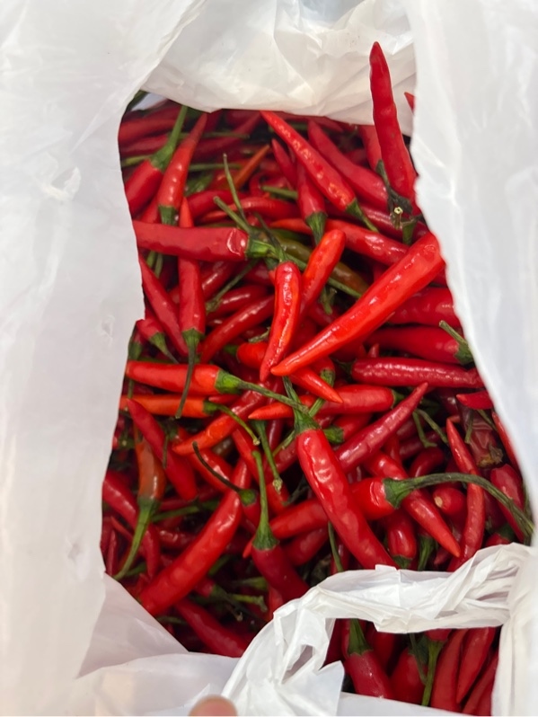 ớt tươi