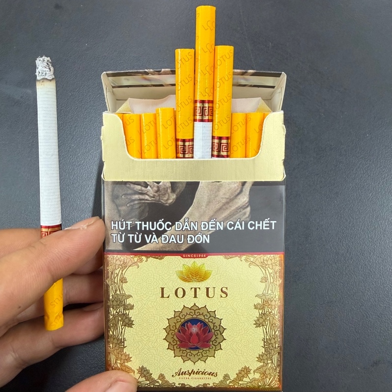 Lotus cát tường 莲花吉祥