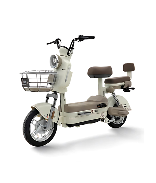 XE ĐẠP ĐIỆN TAILG JS32