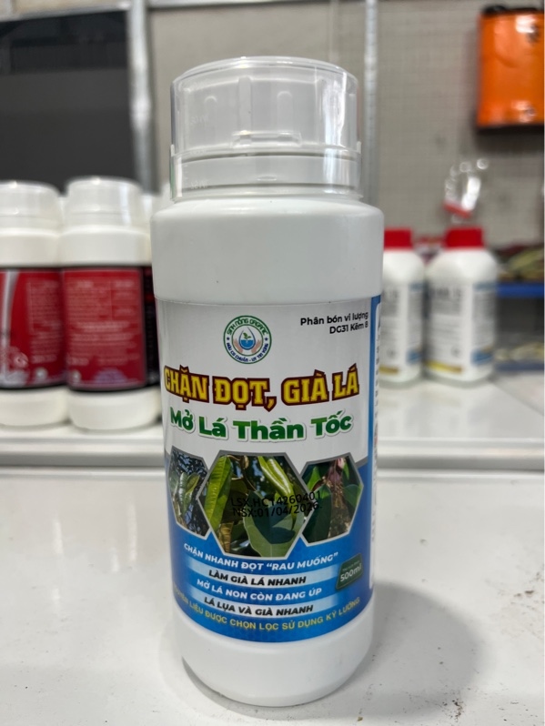 Chặn đọt Già lá - Mở lá thần tốc