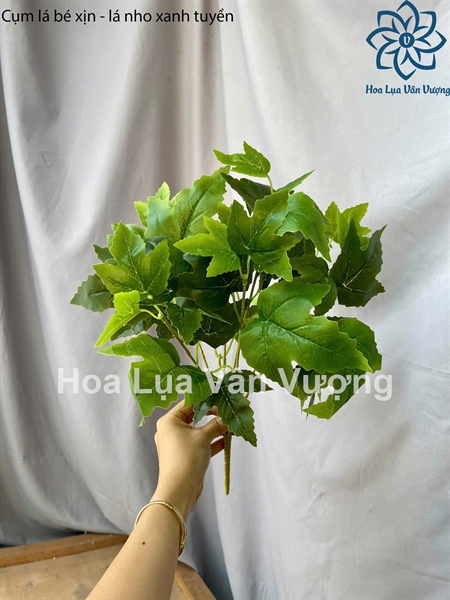 Cụm lá bé xịn - lá nho xanh - Lá cành ngắn - Hoa Lụa Vân Vượng