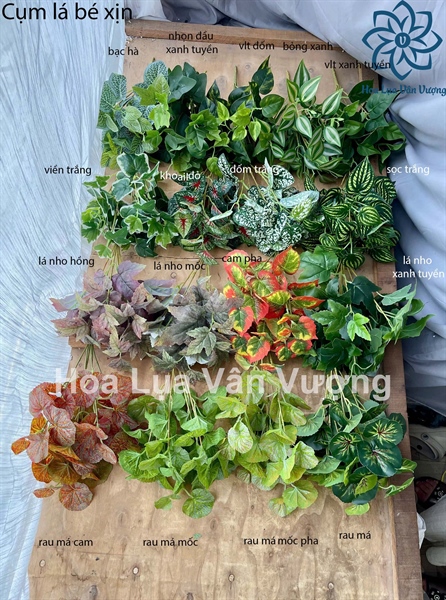 Cụm lá bé xịn - Lá cành ngắn - Hoa Lụa Vân Vượng