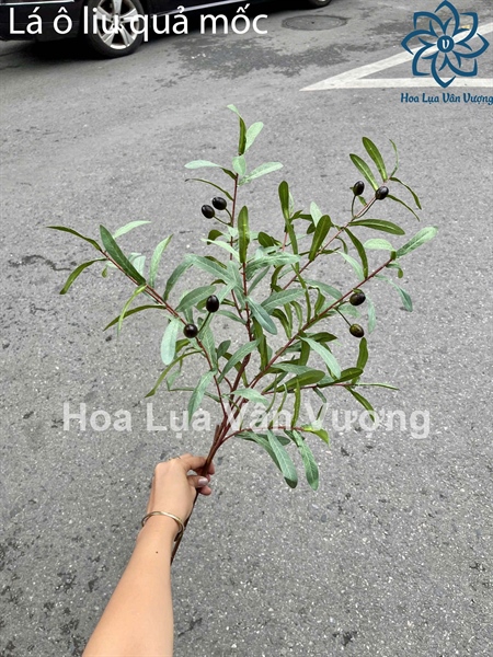 Lá ô liu quả mốc - Lá cành dài - Hoa Lụa Vân Vượng