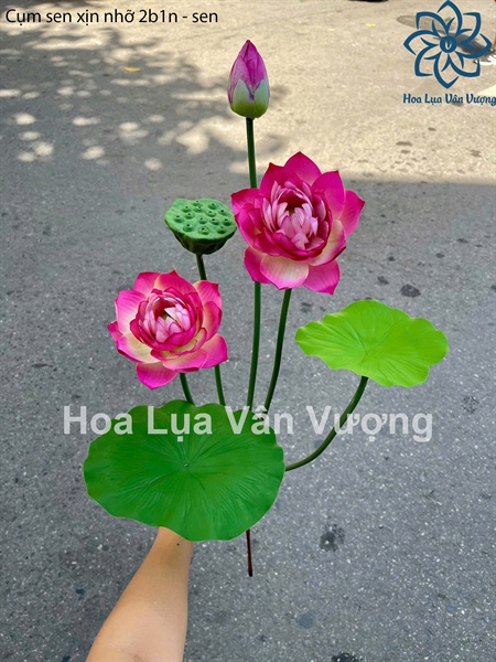 Cụm sen xịn nhỡ 2b1n - sen - Sen - Hoa Lụa Vân Vượng