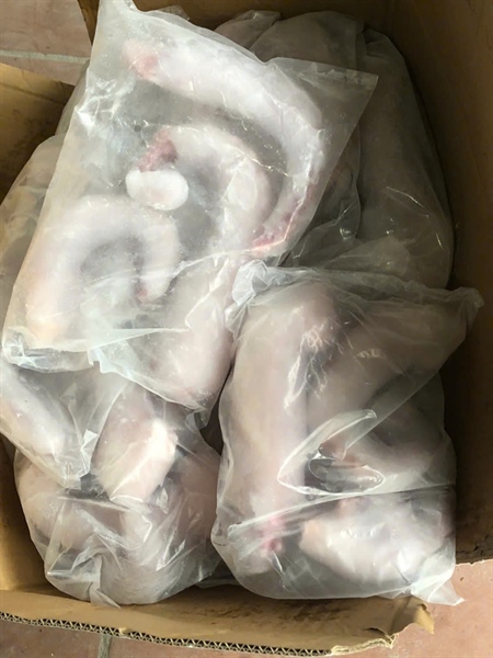 Râu Tuộc Khổng Lồ