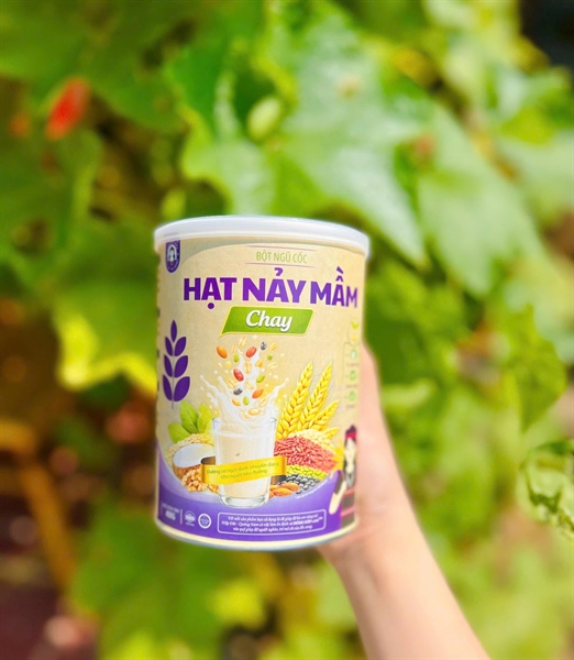 Bột Ngũ Cốc Hạt Nảy Mầm Chay (400g)