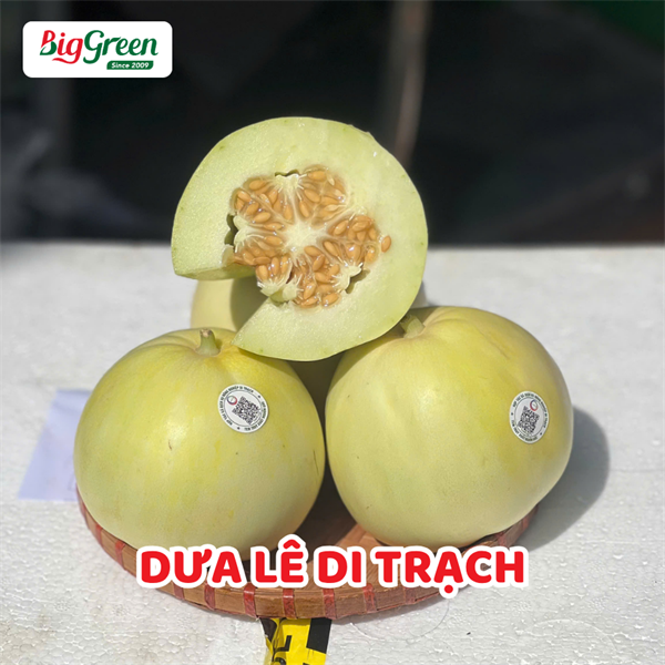 Dưa Lê Di Trạch
