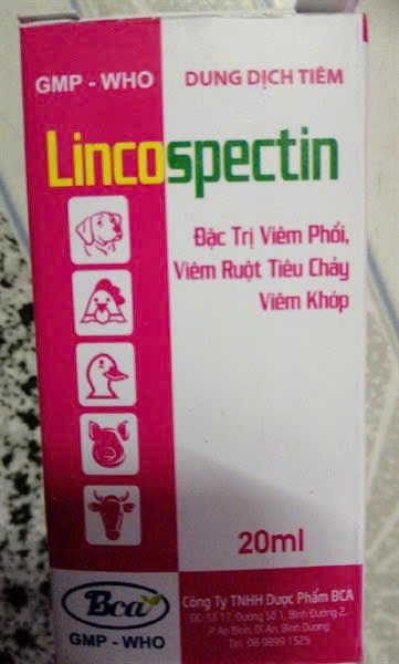 Linco-spectin 20ml ANV hen, tiêu chảy