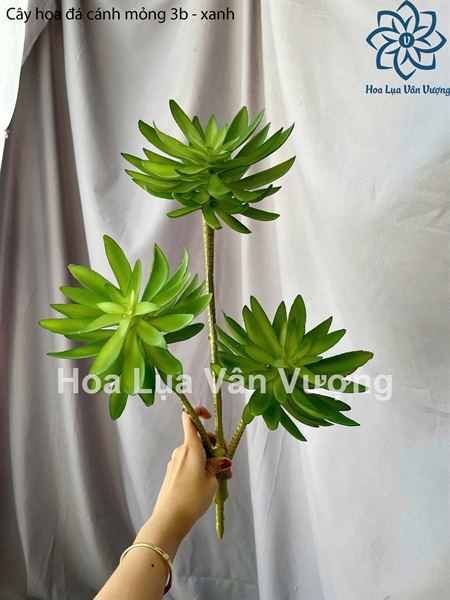 Cây hoa đá cánh mỏng 3b - xanh - Hoa đá - Hoa Lụa Vân Vượng