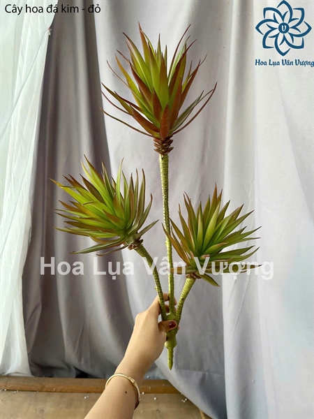 Cây hoa đá kim 3b - Hoa đá - Hoa Lụa Vân Vượng