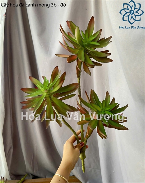 Cây hoa đá cánh mỏng 3b - đỏ - Hoa đá - Hoa Lụa Vân Vượng