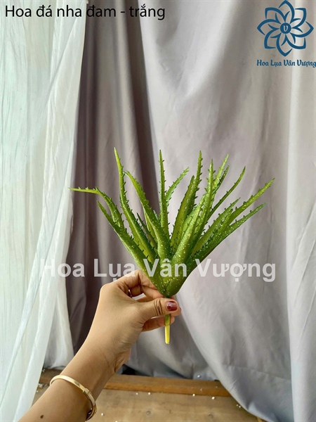 Hoa đá nha đam - trắng - Hoa đá - Hoa Lụa Vân Vượng