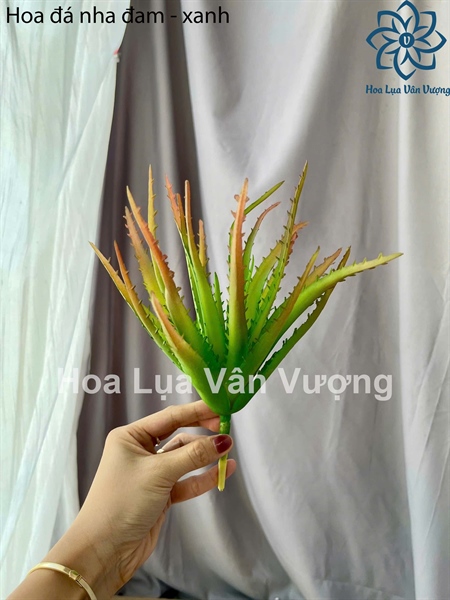 Hoa đá nha đam - xanh - Hoa đá - Hoa Lụa Vân Vượng