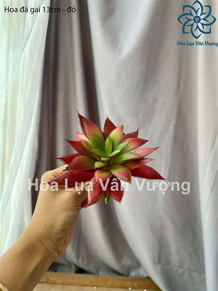 Hoa đá gai 13cm - Hoa đá - Hoa Lụa Vân Vượng