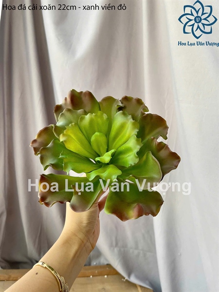 Hoa đá cải xoăn 22cm - xanh viền đỏ - Hoa đá - Hoa Lụa Vân Vượng