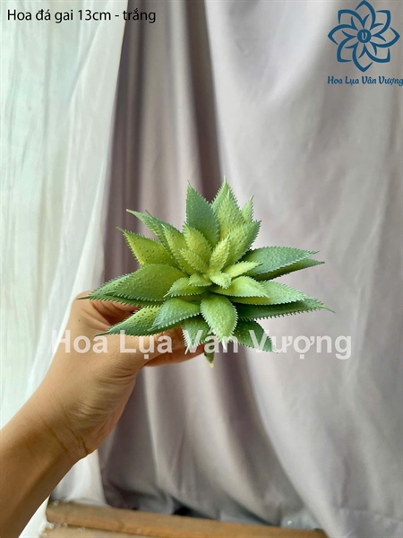 Hoa đá gai 13cm - trắng - Hoa đá - Hoa Lụa Vân Vượng