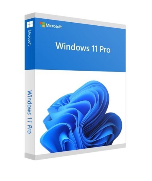 Phần mềm Windows Pro 11 64Bit Eng Intl 1pk DSP OEI DVD FQC-10528 (Bảng Vĩnh Viễn)