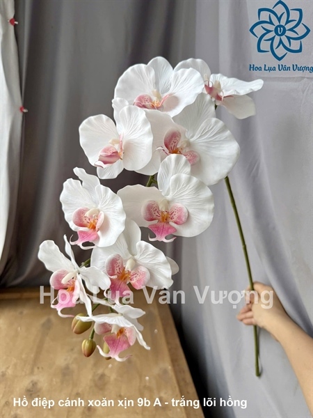 Hồ điệp cánh xoăn xịn 9b - Hồ điệp, lan - Hoa Lụa Vân Vượng
