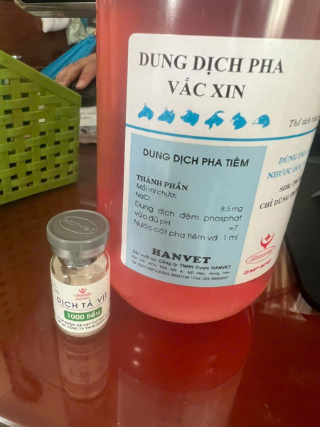 Dịch Tả - Đông Lạnh Đỏ 1000L