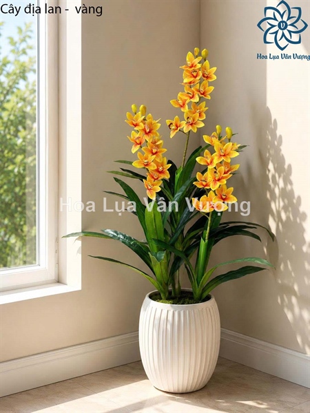 Cây địa lan - vàng - Cây - Hoa Lụa Vân Vượng