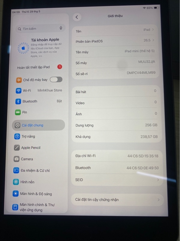 Ipad mini 5 256G body màu Gray J/A P87