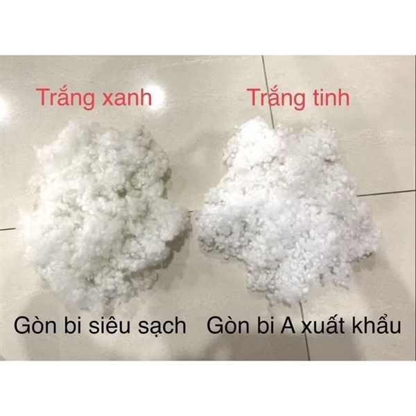 Bông gòn