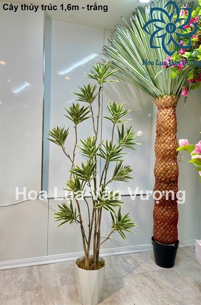 Cây thủy trúc 1,6m 14n - Trắng - Cây - Hoa Lụa Vân Vượng