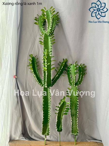 Xương rồng lá xanh 1m - Cây - Hoa Lụa Vân Vượng