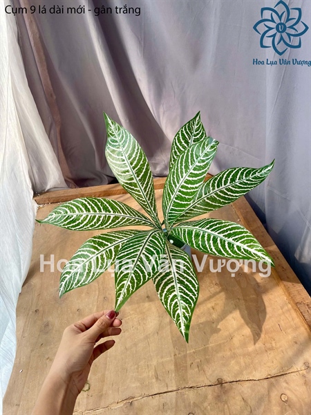 Cụm 9 lá dài mới - gân trắng - Lá cành ngắn - Hoa Lụa Vân Vượng