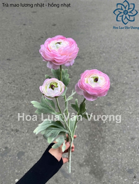 Trà mao lương nhật - Hoa cành dài - Hoa Lụa Vân Vượng
