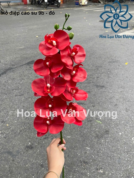 Hồ điệp cao su 9b - đỏ - Hồ điệp, lan - Hoa Lụa Vân Vượng