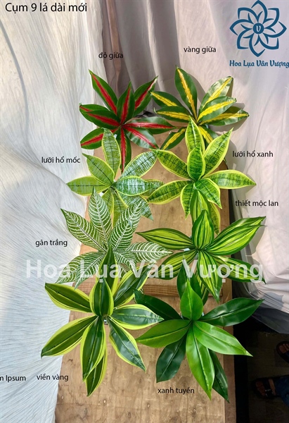 Cụm 9 lá dài mới - Lá cành ngắn - Hoa Lụa Vân Vượng