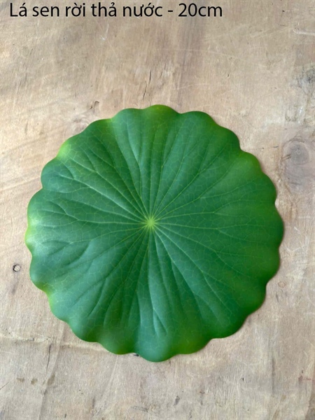 Lá sen rời - 20cm - Lá cành ngắn - Hoa Lụa Vân Vượng