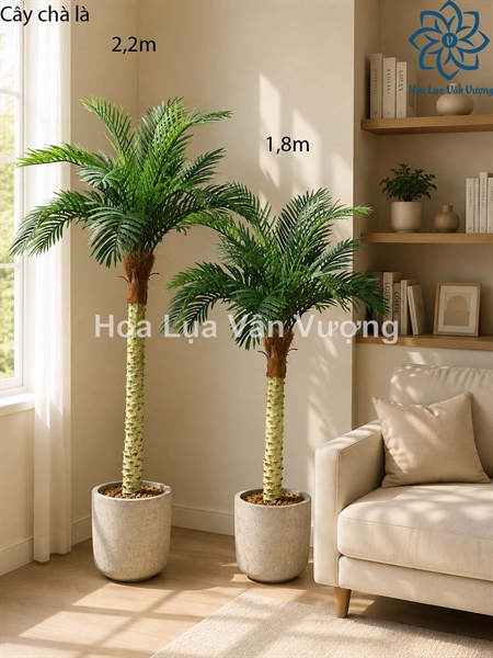 Cây chà là 1,8m - Cây - Hoa Lụa Vân Vượng