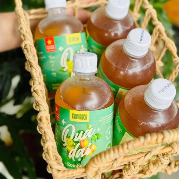 Kombucha Quả Dại (500ml)
