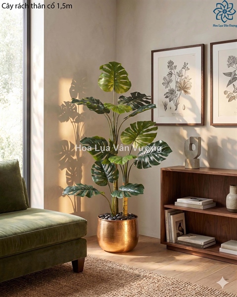Cây rách thân cổ 1,5m - Cây - Hoa Lụa Vân Vượng