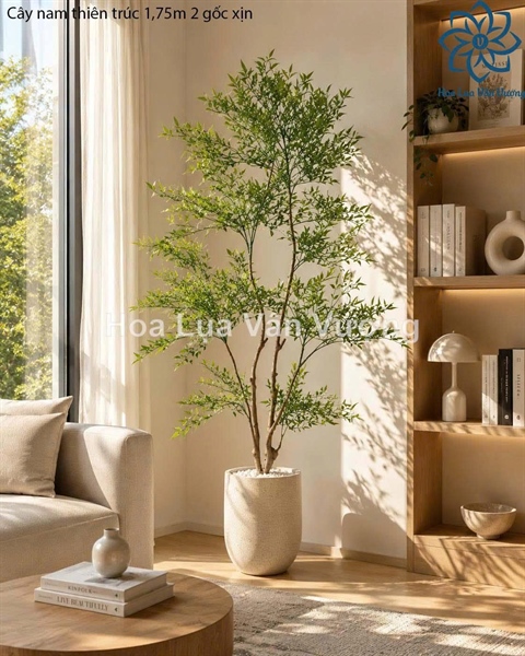 Cây nam thiên trúc 1,75m 2 gốc - Cây - Hoa Lụa Vân Vượng