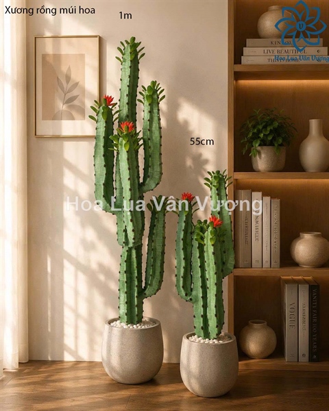 Xương rồng múi hoa 55cm - Cây - Hoa Lụa Vân Vượng
